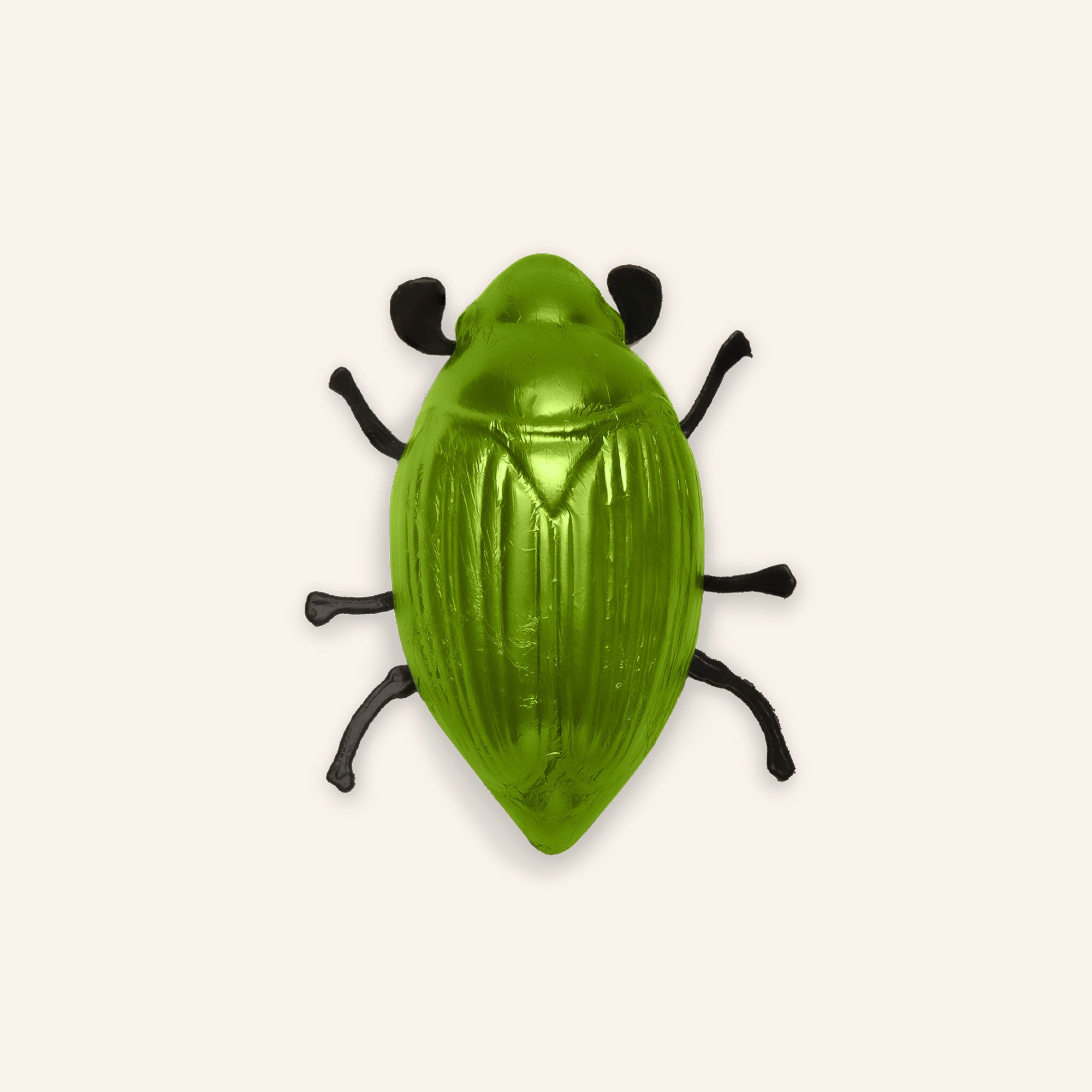 Cockchafer