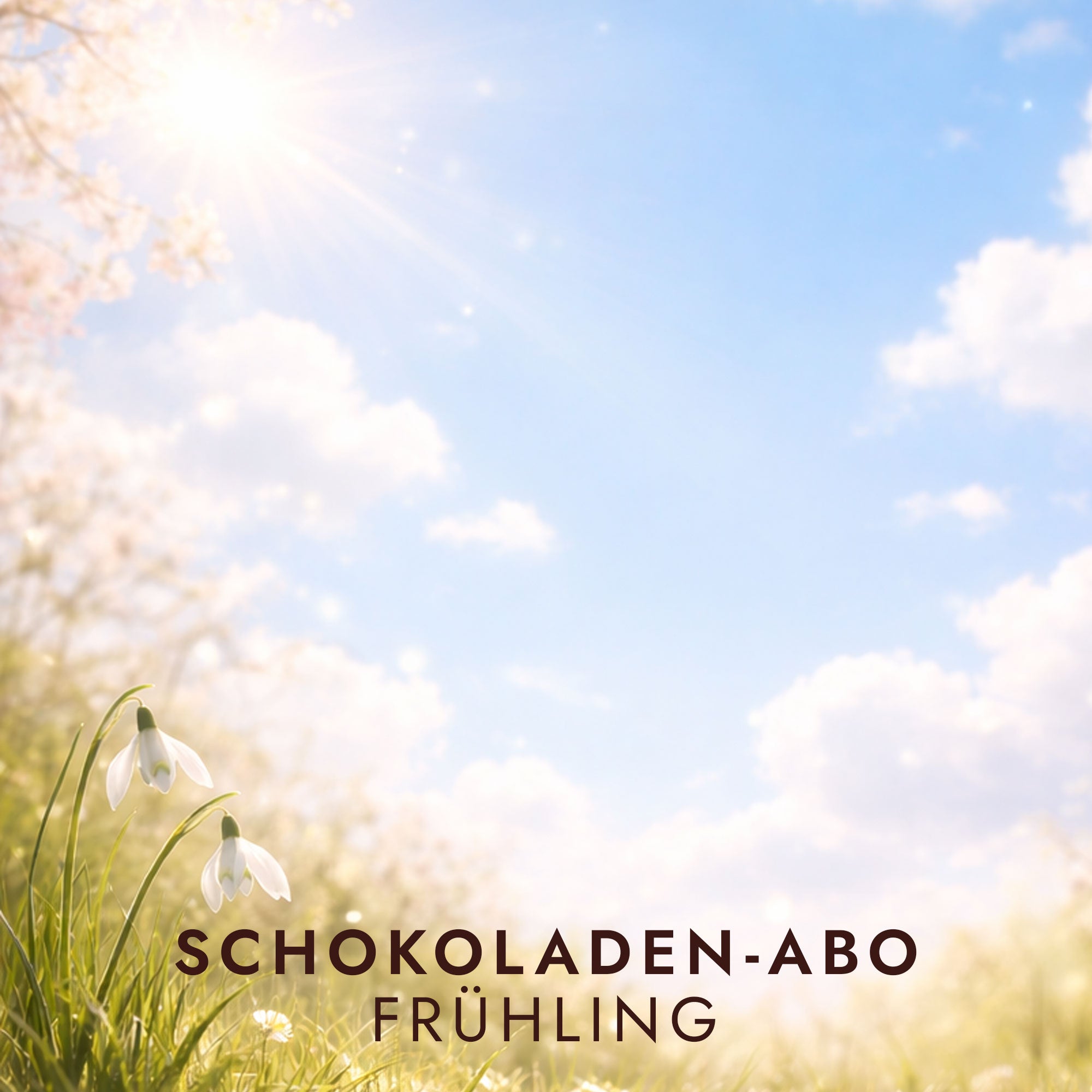 SCHOKOLADEN-ABO KLASSIK